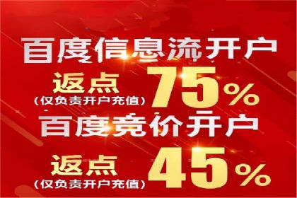深度解析：竞价推广公司经典案例